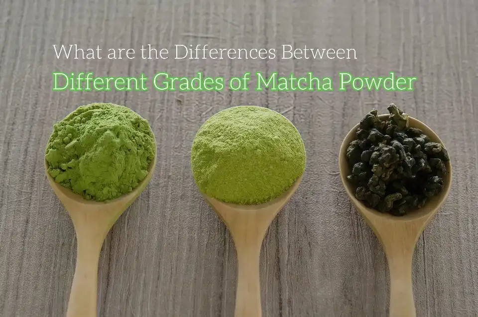 How does AAA Grade Matcha Powder compare in taste for daily tea?